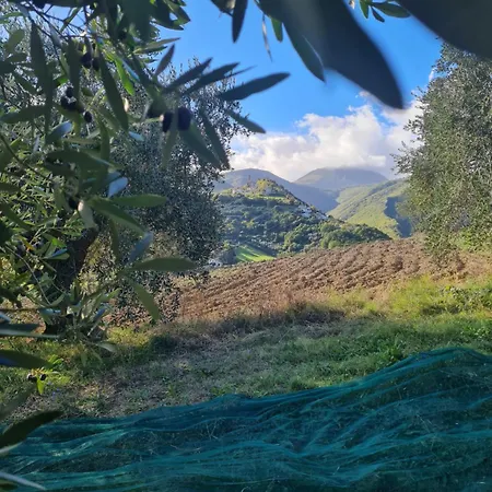Vallonga Vakantieboerderij Poggio San Vicino