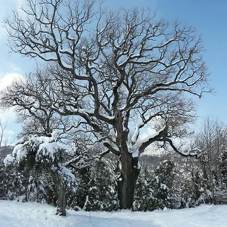 Vallonga Κατάλυμα σε φάρμα
