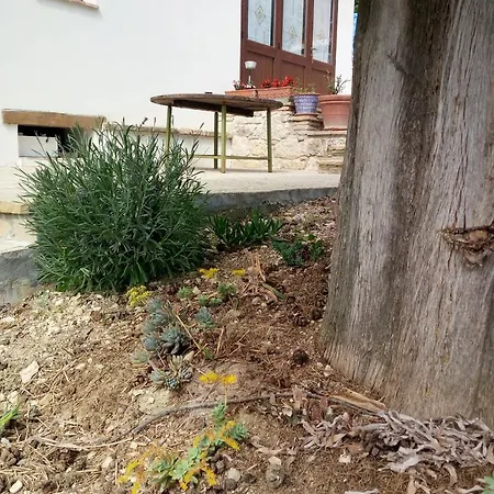 Bauernhof Vallonga Poggio San Vicino